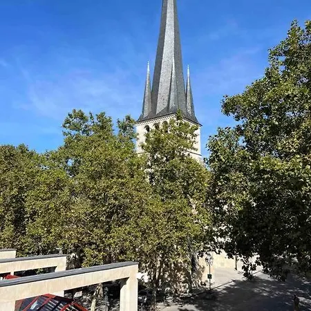 Magnifique Familiale 6 Personnes 3 Et 3 Salles De Bain En Hyper Centre Avec Rue Pietonne Parking 20m アパート *